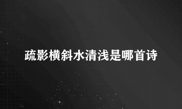 疏影横斜水清浅是哪首诗