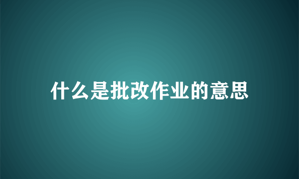 什么是批改作业的意思