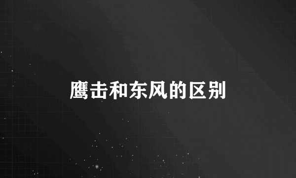 鹰击和东风的区别