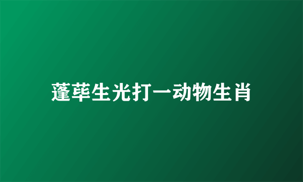 蓬荜生光打一动物生肖