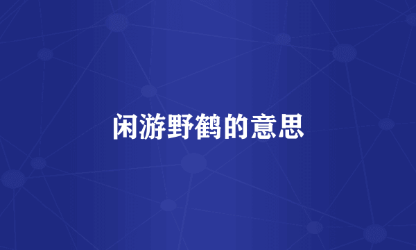 闲游野鹤的意思