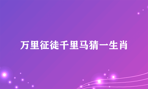 万里征徒千里马猜一生肖