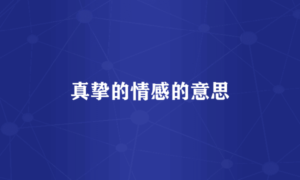 真挚的情感的意思