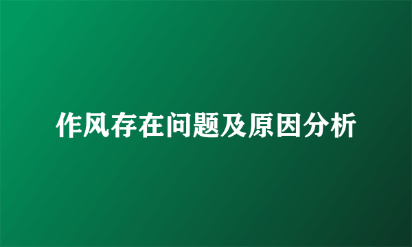 作风存在问题及原因分析