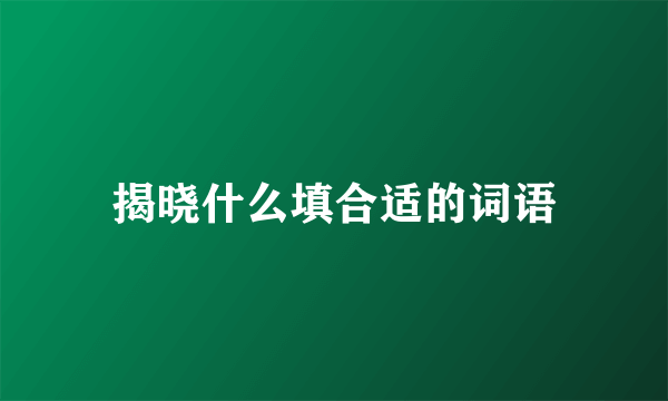 揭晓什么填合适的词语