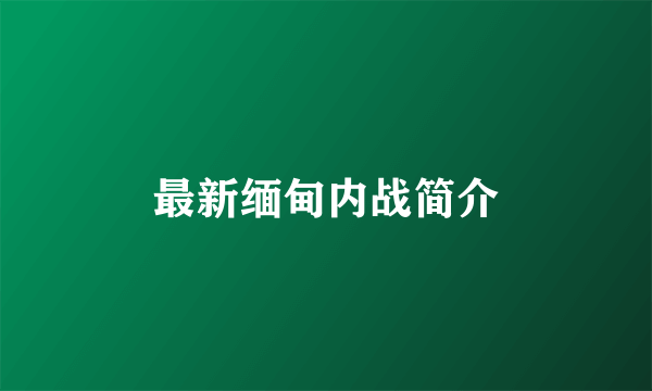最新缅甸内战简介