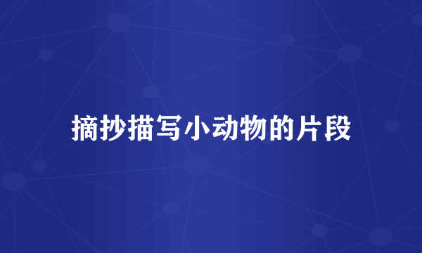 摘抄描写小动物的片段