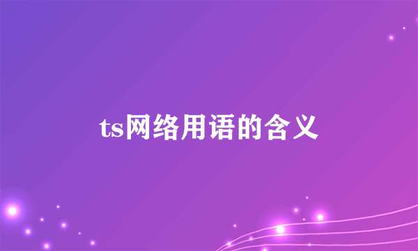 ts网络用语的含义