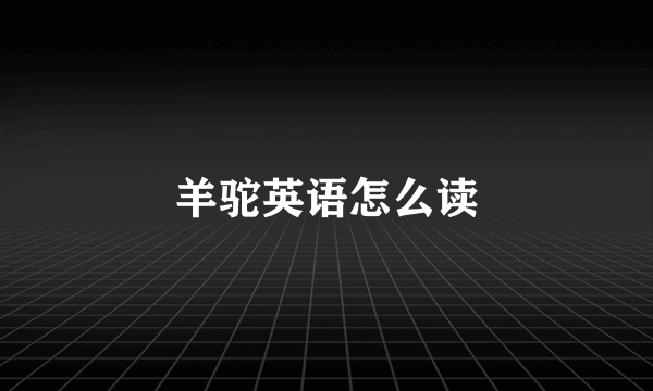 羊驼英语怎么读
