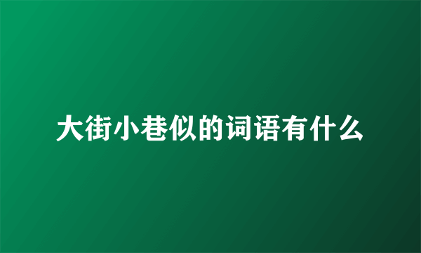 大街小巷似的词语有什么