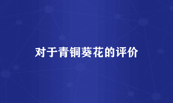 对于青铜葵花的评价