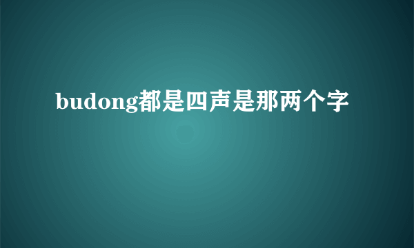 budong都是四声是那两个字