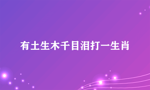有土生木千目泪打一生肖