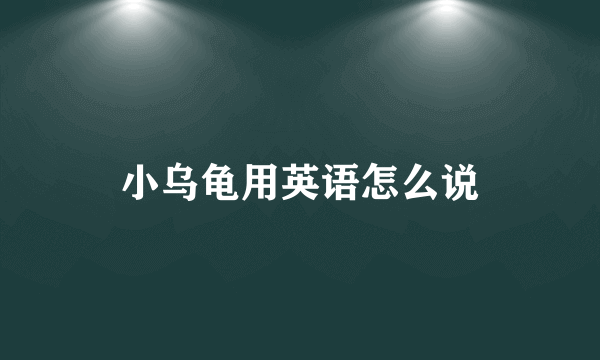 小乌龟用英语怎么说