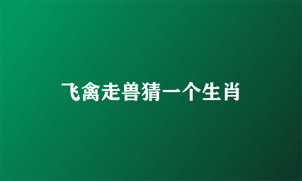 飞禽走兽猜一个生肖