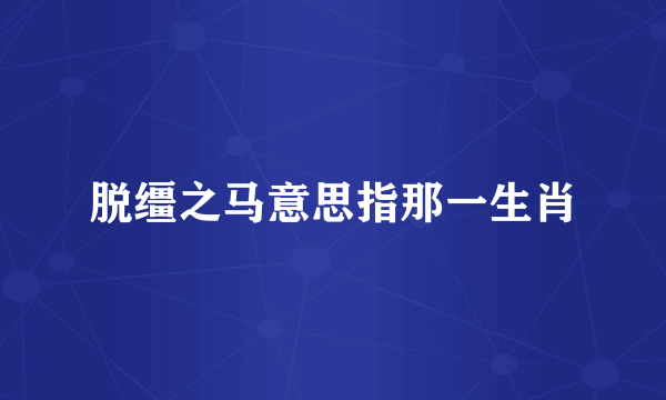 脱缰之马意思指那一生肖