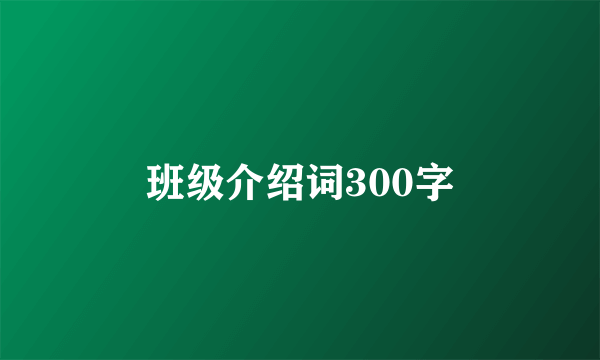 班级介绍词300字