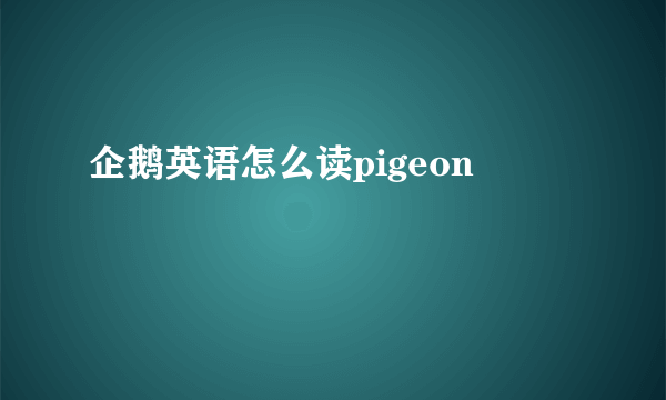 企鹅英语怎么读pigeon