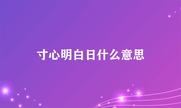 寸心明白日什么意思