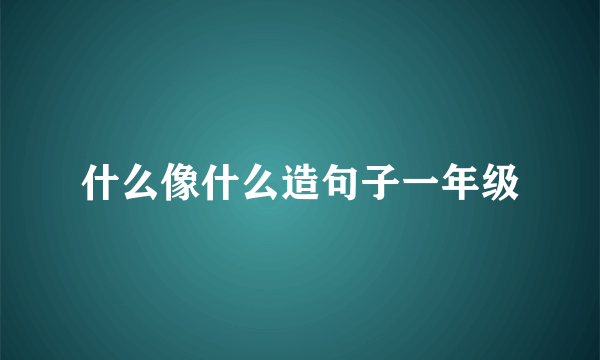 什么像什么造句子一年级