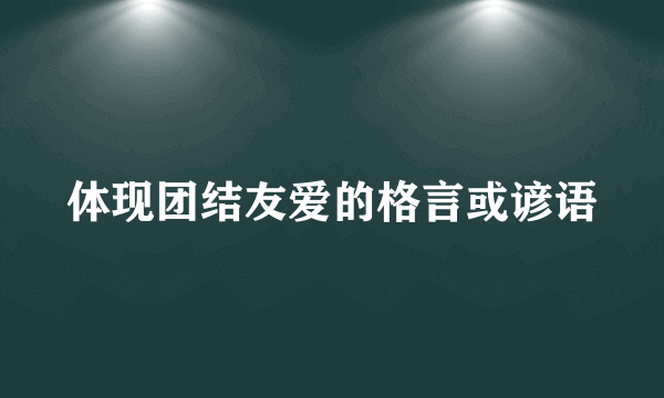 体现团结友爱的格言或谚语