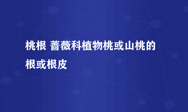 桃根 蔷薇科植物桃或山桃的根或根皮