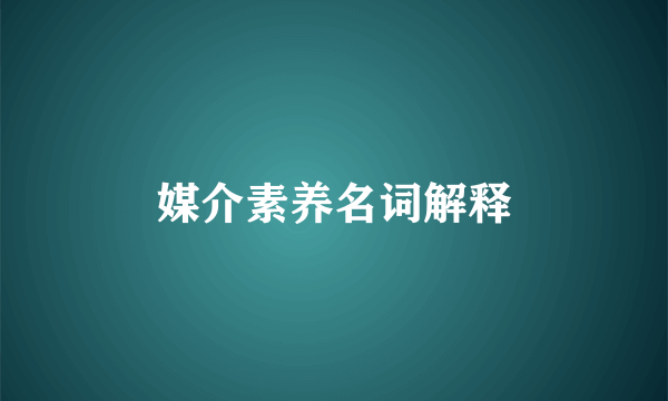 媒介素养名词解释