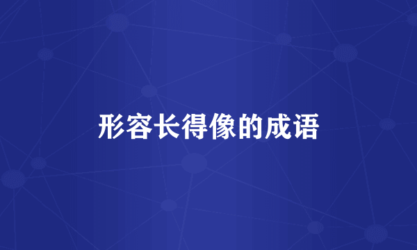 形容长得像的成语