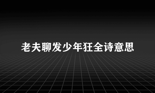 老夫聊发少年狂全诗意思