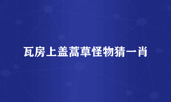 瓦房上盖蒿草怪物猜一肖