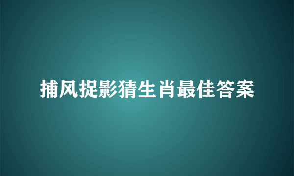 捕风捉影猜生肖最佳答案