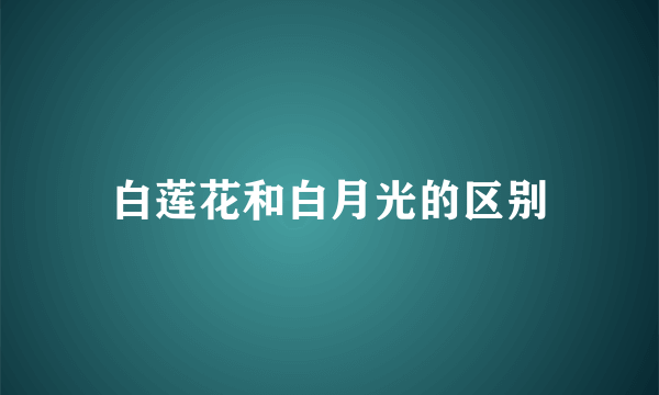 白莲花和白月光的区别