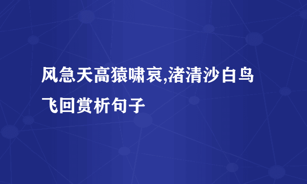 风急天高猿啸哀,渚清沙白鸟飞回赏析句子