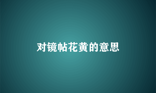 对镜帖花黄的意思