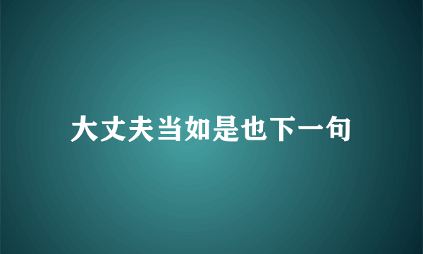 大丈夫当如是也下一句