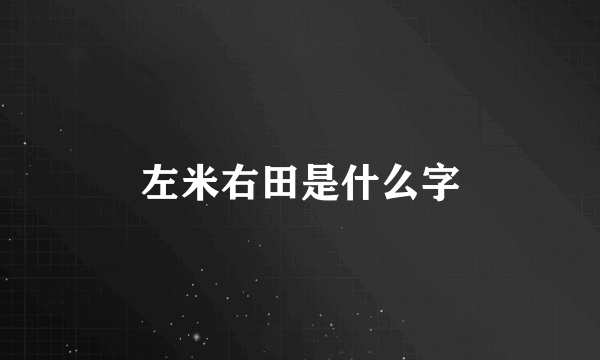 左米右田是什么字