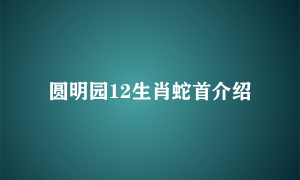 圆明园12生肖蛇首介绍