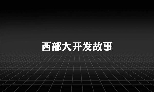 西部大开发故事