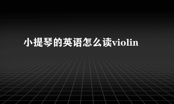 小提琴的英语怎么读violin