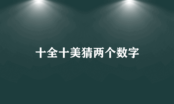 十全十美猜两个数字