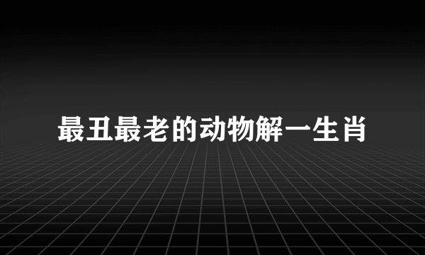 最丑最老的动物解一生肖