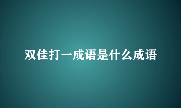 双佳打一成语是什么成语