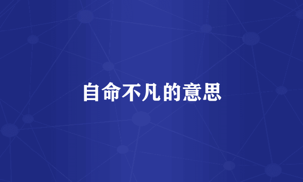 自命不凡的意思