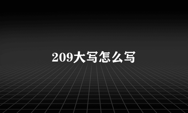 209大写怎么写