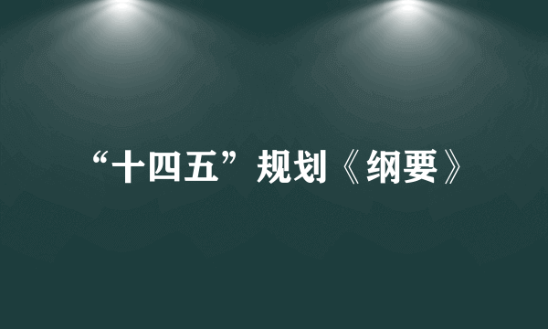 “十四五”规划《纲要》