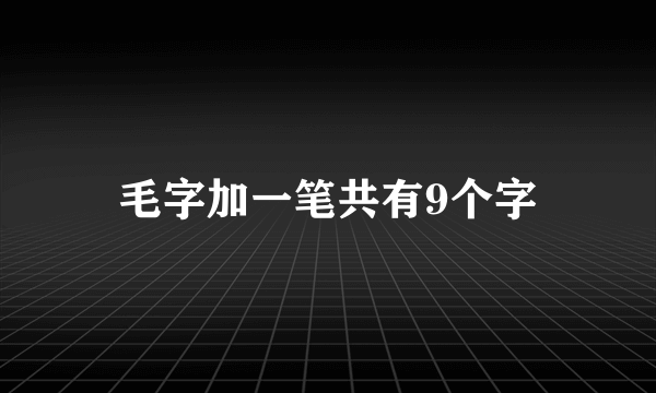 毛字加一笔共有9个字