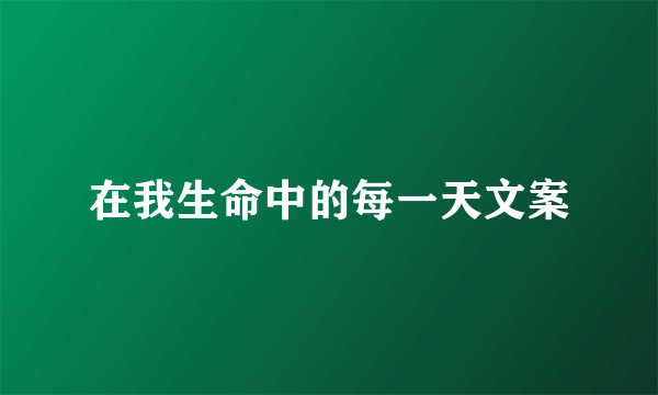 在我生命中的每一天文案