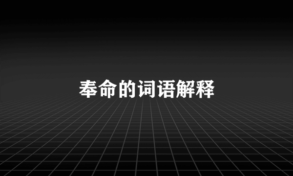 奉命的词语解释