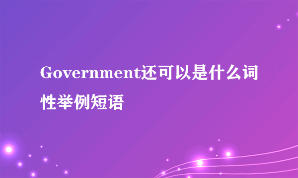 Government还可以是什么词性举例短语