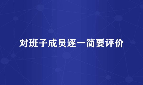 对班子成员逐一简要评价